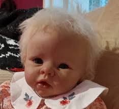 Is this allowed please. I bought her pre loved and she arrived yesterday,  dont know anything about where she was reborn but would love to know if  anyone knows if her hair