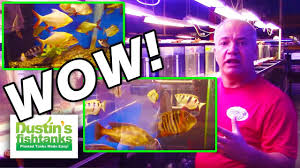 Tropical fish are common passive mobs found in oceans. Tong S Tropical Fish Aquarium Store Youtube