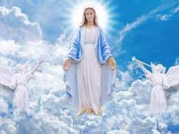 La grande marche lagrandemarche.fr est une marche à travers la france de montmartre à cotignac, les marcheurs sont invités a faire une deux autant d'étapes qu'ils veulent entre les points étapes, (environ 20km) pour arriver au terme de la marche le 15 août. Fete De L Assomption La Vierge Marie Celebree Dans La Joie Et La Ferveur Mauritius Broadcasting Corporation