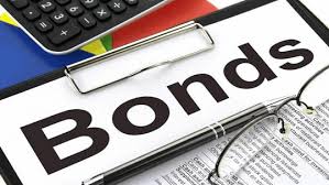 In other words, if you have a moderate risk profile and you. Top Performing Government Bonds Mutual Funds 2021 Fincash Com
