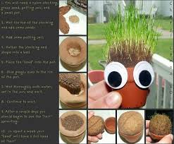 Stuff By Cher Ch Ch Ch Chia Chia Pet Diy Garden Diy Stuffed Animals