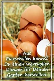 Dyi Dunger Aus Eierschalen In 2020 Dunger Fur Pflanzen Eierschale Blumen Fur Garten