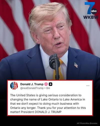 [Image: images?q=tbn:ANd9GcSMdiPlkHK-M5mnf6oSUjt...Oilw8&s=10]