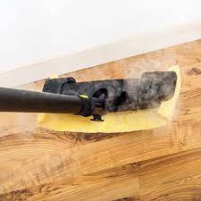 Hardwood Flooring How To Get Rid Of Bed Bugs In Hardwood Floors