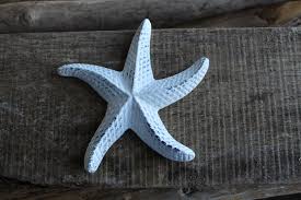 Metal Starfish Wall Decor Beach Cottage Decor Sea Star Etsy Beach Cottage Decor Starfish Wall Decor Beach Wall Decor