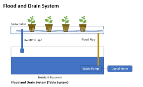 Easiest flood & drain setup inside 3'x3' lighthouse 2.0 tent gary sets up a 2'x2' flood table with 20 gallon active aqua. Flood And Drain System Fastest Method To Grow Your Plants Gardening Tips Plants Care Plants Details