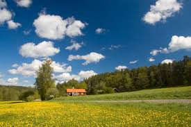 Mit der immobiliensuche von homegate.ch finden sie einfach und schnell ihr passendes eigenheim. Hauskauf In Schweden