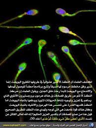 صورة وآية معجزة النطفة islam and science islam hadith islam quran