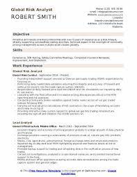A leader in the automotive industry is currently recruiting for a financial analyst (power bi). Risk Analyst Resume Samples Qwikresume