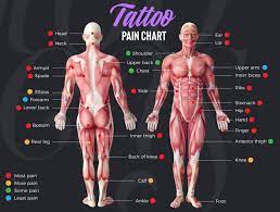 Most and least painful spots to get the tattoo. 21 Most Painful Places To Get A Tattoo Where Tattoos Hurt The Most 2021