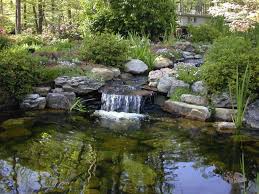 Pin On Koi Ponds