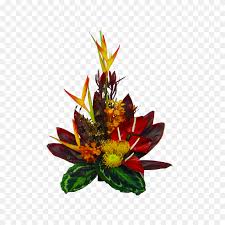 Flowers shipped in gift box. List Of Synonyms And Antonyms Of The Word Hawaiian Flowers Delivered Tropical Flowers Png Stunning Free Transparent Png Clipart Images Free Download