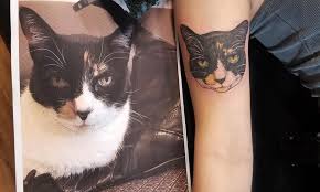 We offer activities like overnight camping, night trekking and fun filled games. Menu Home Dmca Copyright Privacy Policy Contact Sitemap Thursday January 31 2013 Tattoo Shops Open Near Me 5 Tattoo Parlors We Love In St Louis Alive Electric Panda Tattoo Company Columb Read More January 31 2013 No Comments Email