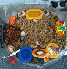 Don't allow them to bake in a window, either. 10 Hermit Crab Tank Ideas Caring For All Pets