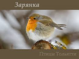 We did not find results for: Ruzov Dmitrij Livejournal