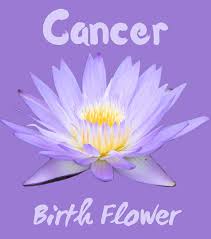 Water represents the moistening and cohering principle that binds and connects all forms of nature. Cancer Birth Flower Zodiac Amino