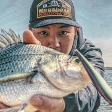 Profile for Billy Yang Fishing