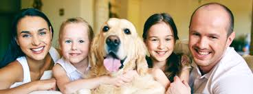 Beware of online sites that offer prescription pet medications without a prescription, as they may be counterfeit, expired or even dangerous for your pet. Pet Meds Acme Markets