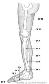 Acupressure Points Chart Acupressure Points Chart