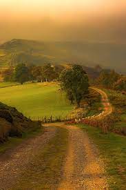 See more ideas about outdoor gardens, garden design, dream garden. Beautiful Beautiful Landscapes Landscape Scenery