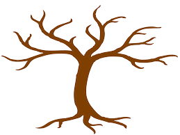 Download Family Tree No Names Svg Vector Family Tree No Names Clip Art Svg Clipart