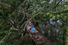 Check spelling or type a new query. Cagar Alam Rawa Danau Hutan Rawa Air Tawar Terbesar Di Jawa