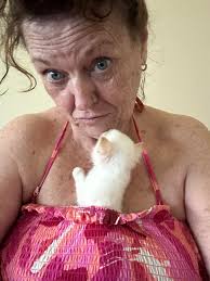 Foster kitten getting to know me