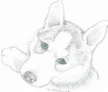 Baby Husky Coloring Pages Yahoo Image Search Results Dog Coloring Page Puppy Coloring Pages Bear Coloring Pages