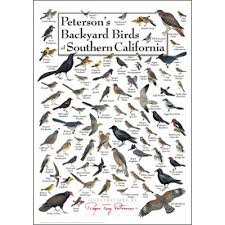 bird identification charts