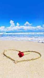 Rose Beach Wallpaper Phone 2021 Live Wallpaper Hd Summer Wallpaper Wallpaper Iphone Summer Beach Wallpaper