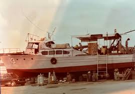 Image result for Brown 1984 Fleet
