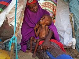 Check spelling or type a new query. Knapp Zwei Millionen Menschen In Somalia Leiden An Hunger Daily Sabah