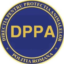Posturile scoase la concurs sunt atât de ofițer (219), cât și de agent (18+1 reîncadrare) și personal contractual (52). Angajare 264 De Posturi In Cadrul Structurilor Centrale È™i Teritoriale Pentru ProtecÈ›ia Animalelor Realitatea Din Calarasi