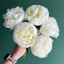 Shop our inventory of decor for the best combo of style, quality & value. Nashville Flower Market Home Facebook
