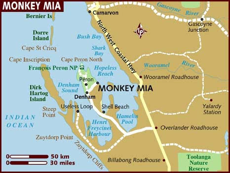 images?q=tbn:ANd9GcSMeG0dgfG46Frw1Ffo2gt