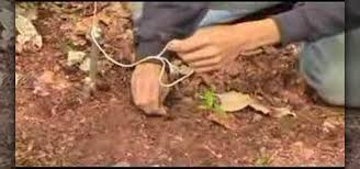 You will need two feet or more. How To Build An Apache Foot Trap Snare For Catching Large Game Survival Training Wonderhowto