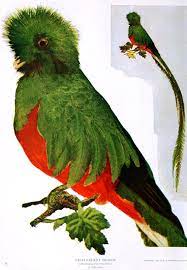It's The End of the World as We Know It. Do You Feel Fine? – Biodiversity  Heritage Library