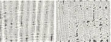 Bildergebnis für Birgit Antoni