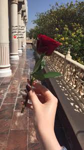 Pin By رهف On Instagram Rawanshehs Beautiful Arabic Words Beautiful Flowers Girly Pictures