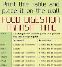 Print This Table And Place It On The Wall Food Digestion