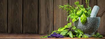 Image result for images What Are Essential Oils
