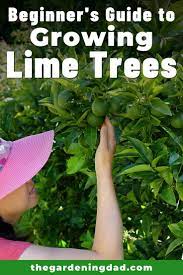 Pin On Gardening