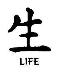 It is truly a stylish symbol, if you wish. Life Chinese Character Japanese Tattoo Symbols Japanese Tattoo Chinese Symbols