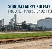 Sodium Lauryl Sulfate (SLS) Production Plant Investment: