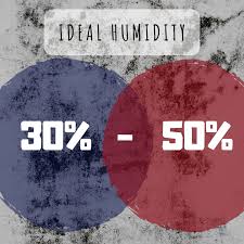 How is low humidity bad for your house? How To Dehumidify A Room Naturally 4 Methods Dengarden