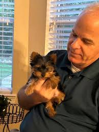 Grateful for yorkie puppy adoption