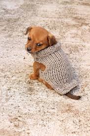 Check out our internet site for more designer knits for women | ssense. Small Puppy Sweater Knitting Patterns Free Dog Small Dog Sweaters Dog Sweater Pattern