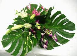 Leaves become smaller, narrower as they go up the stems. Original Floral Designs Featuring Large Green Leaves California Types Of Flowers Leaf Flowers Green Leaves