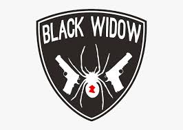 The look is remarkably unfussy and simple. Team Black Widow Brooklyn Nets Logo History Hd Png Download Kindpng