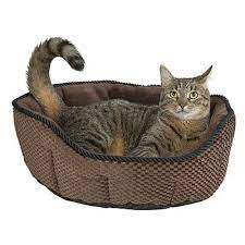 Deals On Furniture Toys Mattresses Home Decor Cat Supplies Cats Pet Bed
